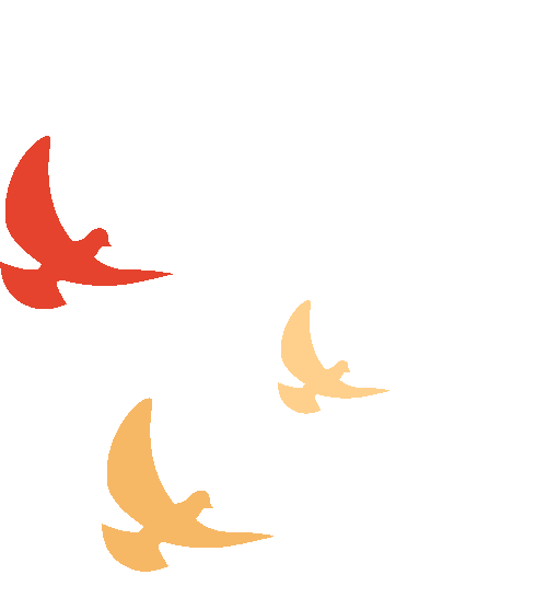 圖片關(guān)鍵詞