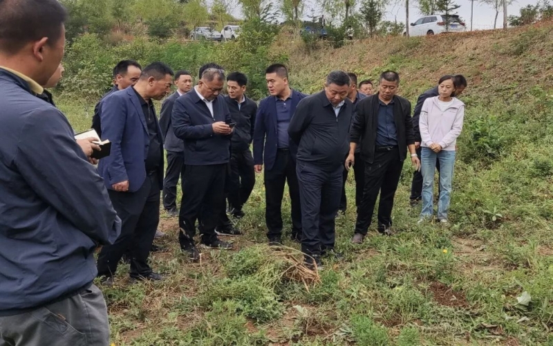 天水市政協(xié)副主席、清水縣委書記馬越垠到“榮程百草莊園”中藥材試驗基地調(diào)研中草藥產(chǎn)業(yè)發(fā)展工作