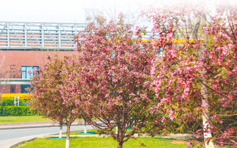 榮程視覺(jué) - 來(lái)，一起走進(jìn)春天里的榮程鋼鐵